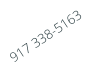 917 338-5163